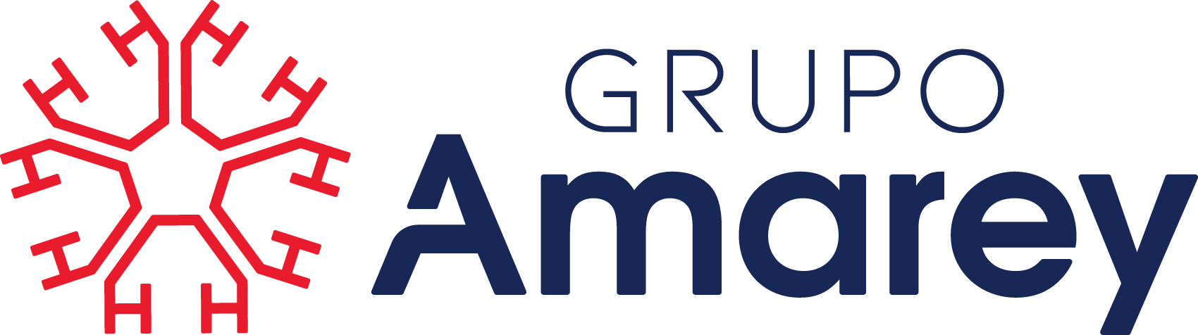 Academia Virtual Amarey